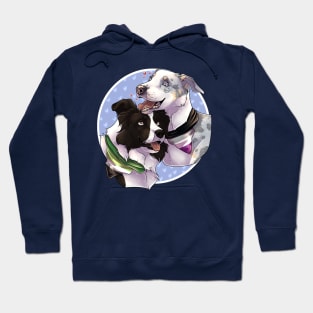 Aro & Ace Pride - Border Collies Hoodie